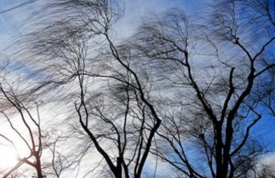 През нощта вятърът ще се ориентира от запад северозапад и ще